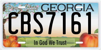 GA license plate CBS7161