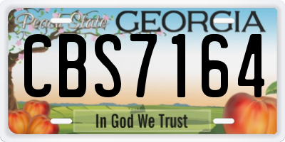 GA license plate CBS7164