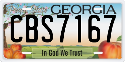 GA license plate CBS7167