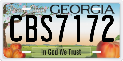 GA license plate CBS7172