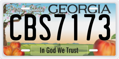 GA license plate CBS7173