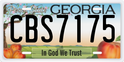 GA license plate CBS7175