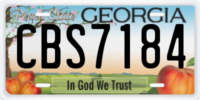 GA license plate CBS7184