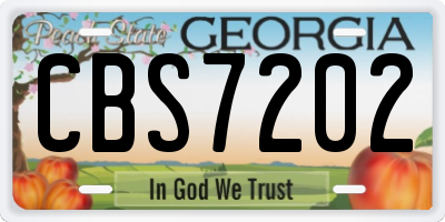 GA license plate CBS7202