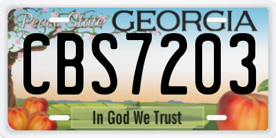 GA license plate CBS7203