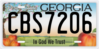 GA license plate CBS7206