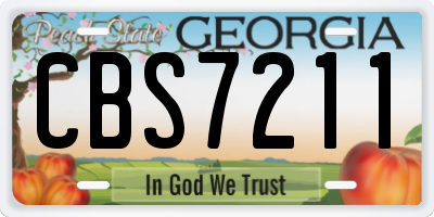 GA license plate CBS7211