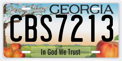 GA license plate CBS7213