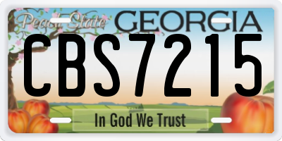 GA license plate CBS7215