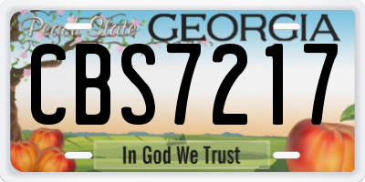 GA license plate CBS7217