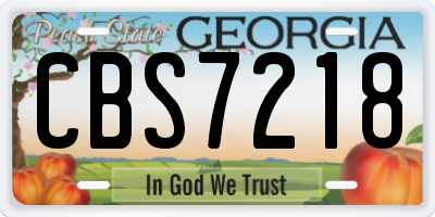 GA license plate CBS7218