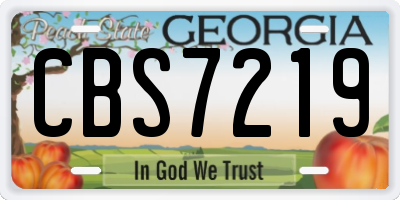 GA license plate CBS7219