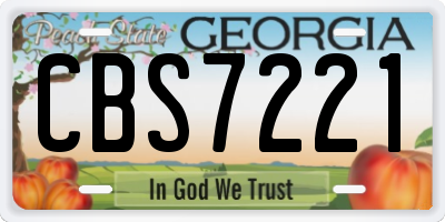 GA license plate CBS7221