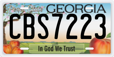 GA license plate CBS7223