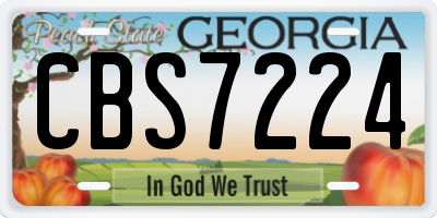 GA license plate CBS7224