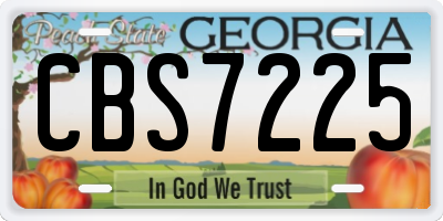 GA license plate CBS7225