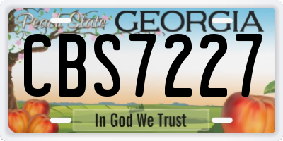 GA license plate CBS7227