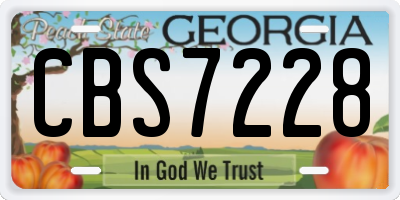 GA license plate CBS7228