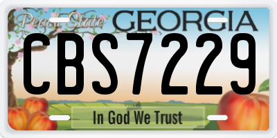 GA license plate CBS7229