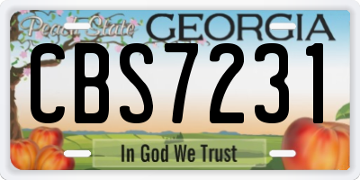 GA license plate CBS7231
