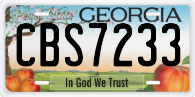 GA license plate CBS7233