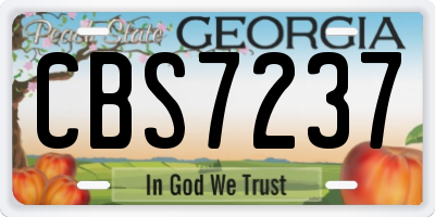 GA license plate CBS7237