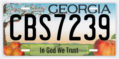 GA license plate CBS7239