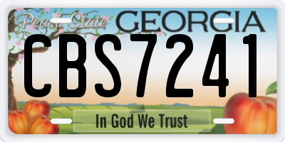 GA license plate CBS7241