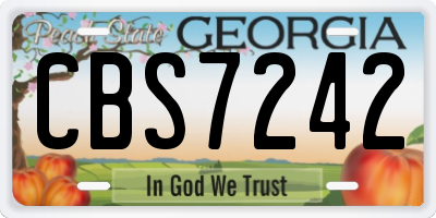 GA license plate CBS7242