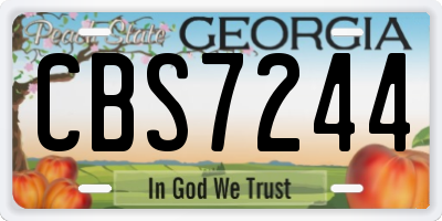 GA license plate CBS7244