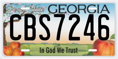 GA license plate CBS7246