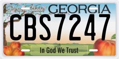 GA license plate CBS7247