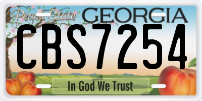 GA license plate CBS7254