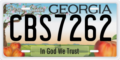 GA license plate CBS7262