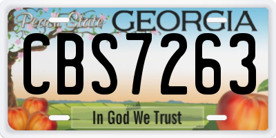 GA license plate CBS7263