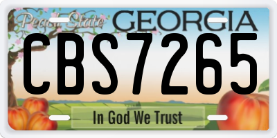 GA license plate CBS7265