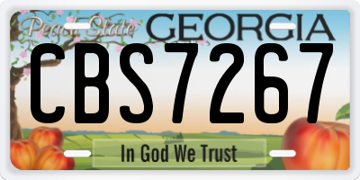 GA license plate CBS7267