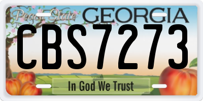 GA license plate CBS7273