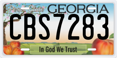 GA license plate CBS7283