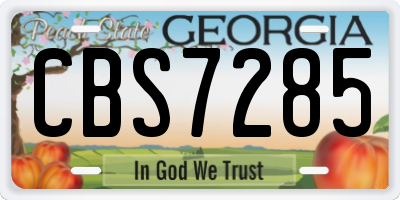 GA license plate CBS7285