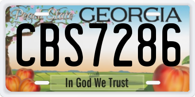 GA license plate CBS7286