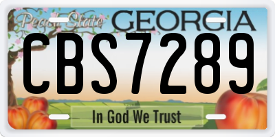 GA license plate CBS7289