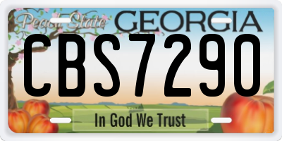 GA license plate CBS7290