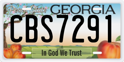 GA license plate CBS7291