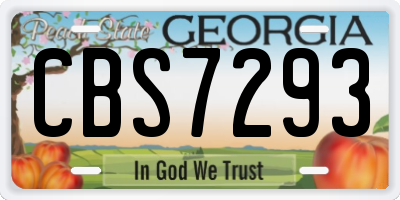 GA license plate CBS7293