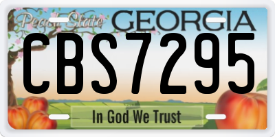 GA license plate CBS7295