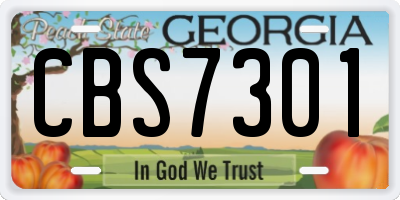 GA license plate CBS7301