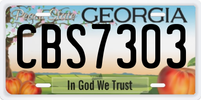 GA license plate CBS7303