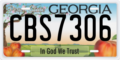 GA license plate CBS7306