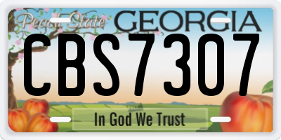 GA license plate CBS7307